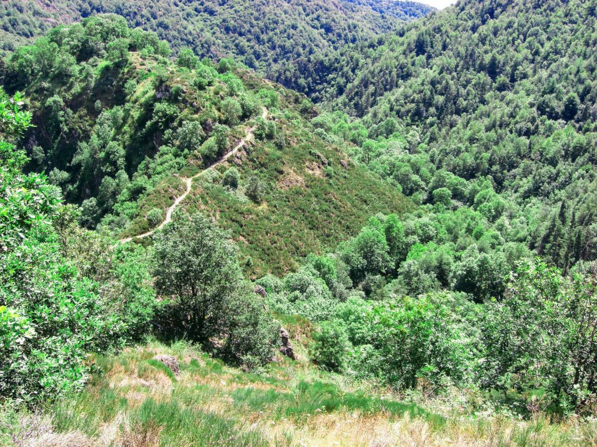 Le Bos Clard Villa Félines Екстериор снимка