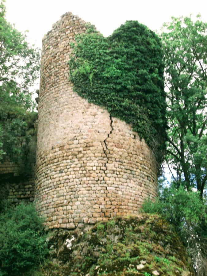 Le Bos Clard Villa Félines Екстериор снимка